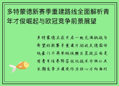 多特蒙德新赛季重建路线全面解析青年才俊崛起与欧冠竞争前景展望