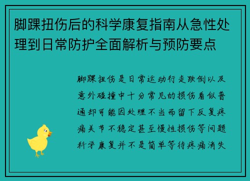 脚踝扭伤后的科学康复指南从急性处理到日常防护全面解析与预防要点